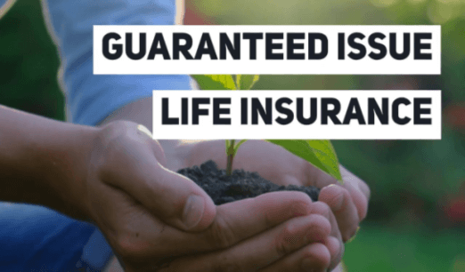 guaranteed-issue-life-insurance image